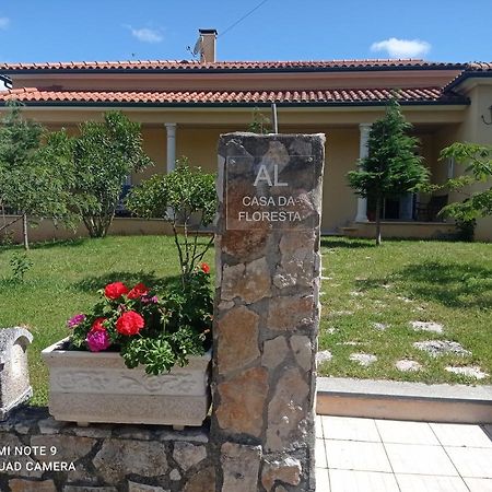 Casa Da Floresta Santiago da Guarda Bagian luar foto
