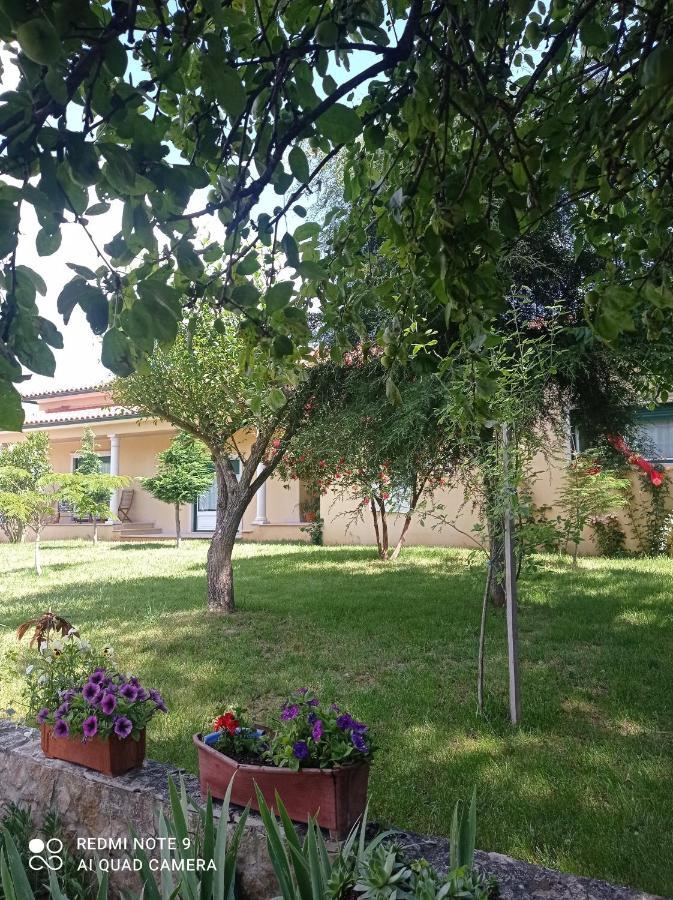 Casa Da Floresta Santiago da Guarda Bagian luar foto