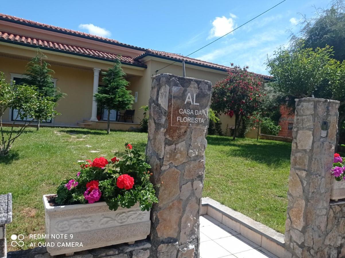 Casa Da Floresta Santiago da Guarda Bagian luar foto